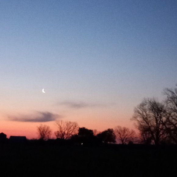 Clothes - Picture 1 of 1